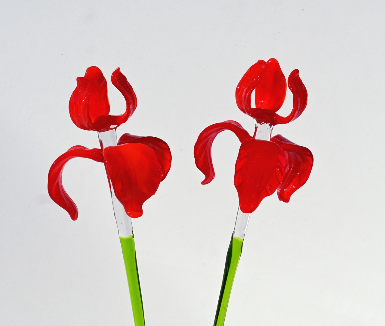 Handblown Red Glass Iris Flower - 17" Tall Floral Art
