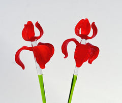 Handblown Red Glass Iris Flower - 17" Tall Floral Art