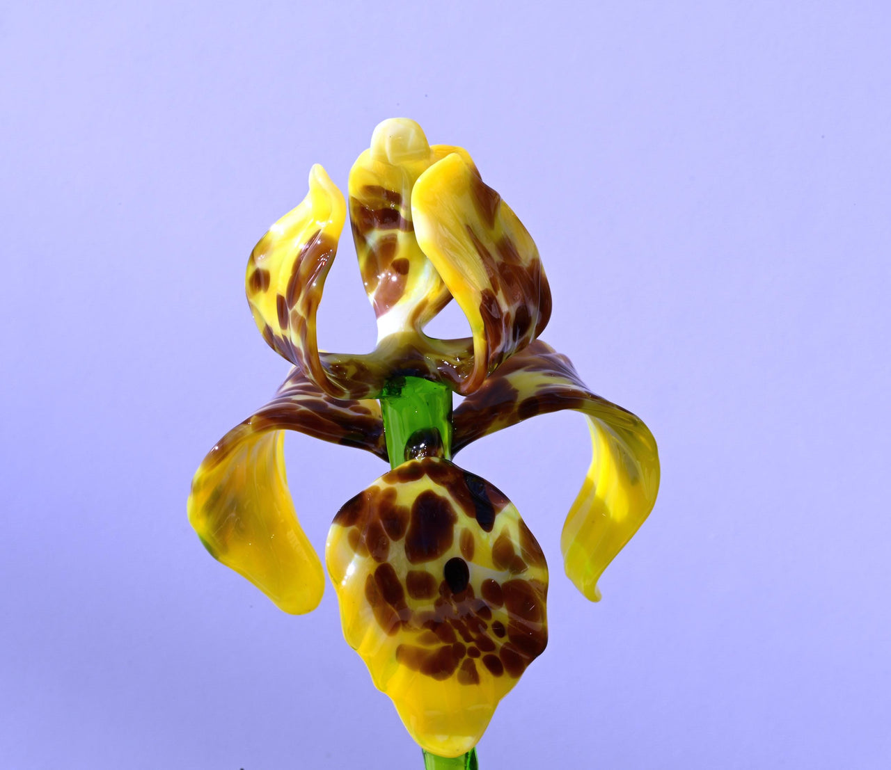Glass Iris - Yellow Glass Flower Bouquet - Blown Glass Flowers - Handmade Glass Flowers - Christmas Gift for Her