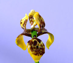 Glass Iris - Yellow Glass Flower Bouquet - Blown Glass Flowers - Handmade Glass Flowers - Christmas Gift for Her