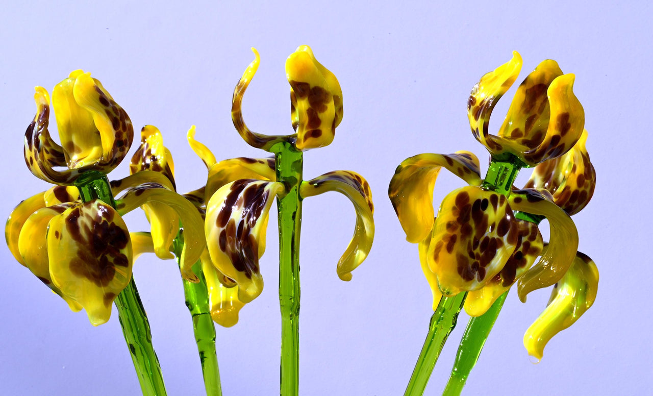 Glass Iris - Yellow Glass Flower Bouquet - Blown Glass Flowers - Handmade Glass Flowers - Christmas Gift for Her