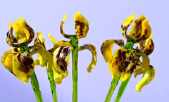 Glass Iris - Yellow Glass Flower Bouquet - Blown Glass Flowers - Handmade Glass Flowers - Christmas Gift for Her