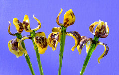 Glass Iris - Yellow Glass Flower Bouquet - Blown Glass Flowers - Handmade Glass Flowers - Christmas Gift for Her