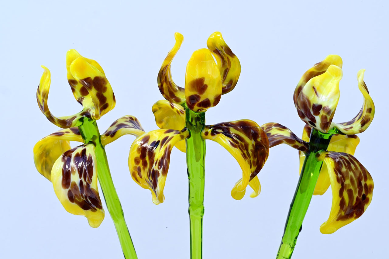 Glass Iris Flower - Yellow Glass Flower Bouquet - Blown Glass Flowers - Handmade Glass Flowers - Birthday Gift for Her