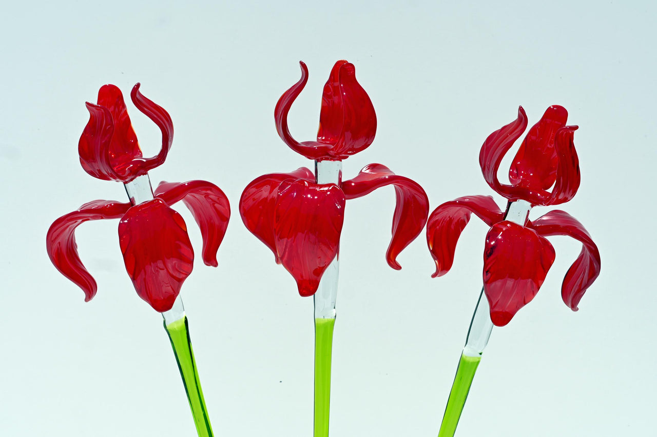 Red Glass Iris Flower: 16" Blown Glass Sculpture, Murano Style Art