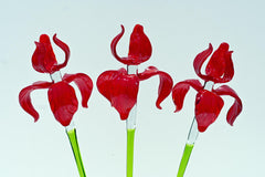 Red Glass Iris Flower: 16" Blown Glass Sculpture, Murano Style Art