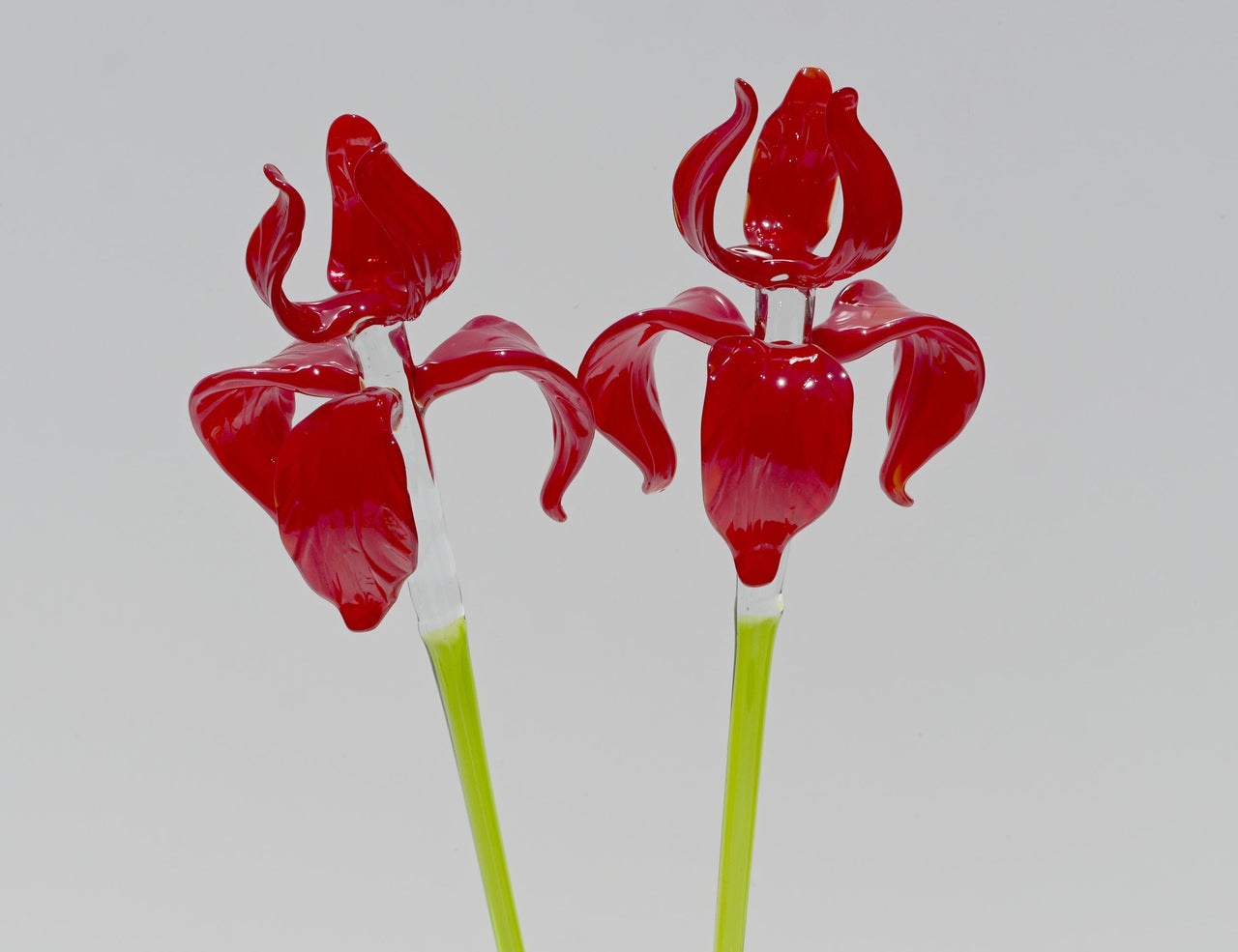 Red Glass Iris Flower: 16" Blown Glass Sculpture, Murano Style Art