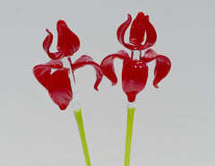 Red Glass Iris Flower: 16" Blown Glass Sculpture, Murano Style Art