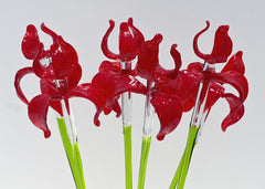 Red Glass Iris Flower: 16" Blown Glass Sculpture, Murano Style Art