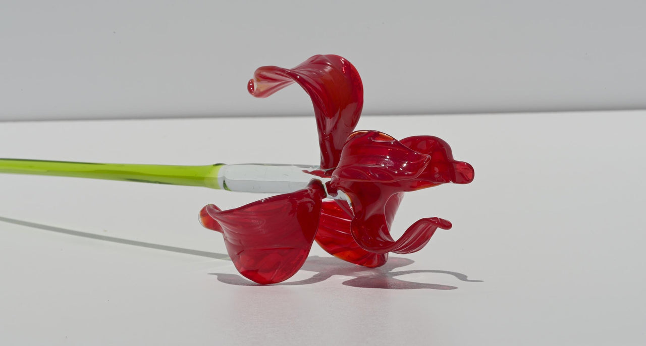 Red Glass Iris Flower: 16" Blown Glass Sculpture, Murano Style Art