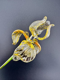 Golden Iris Handblown Glass Flower – Elegant Long Stem Botanical Art, Timeless Gift for Birthdays, Anniversaries & Mother’s Day