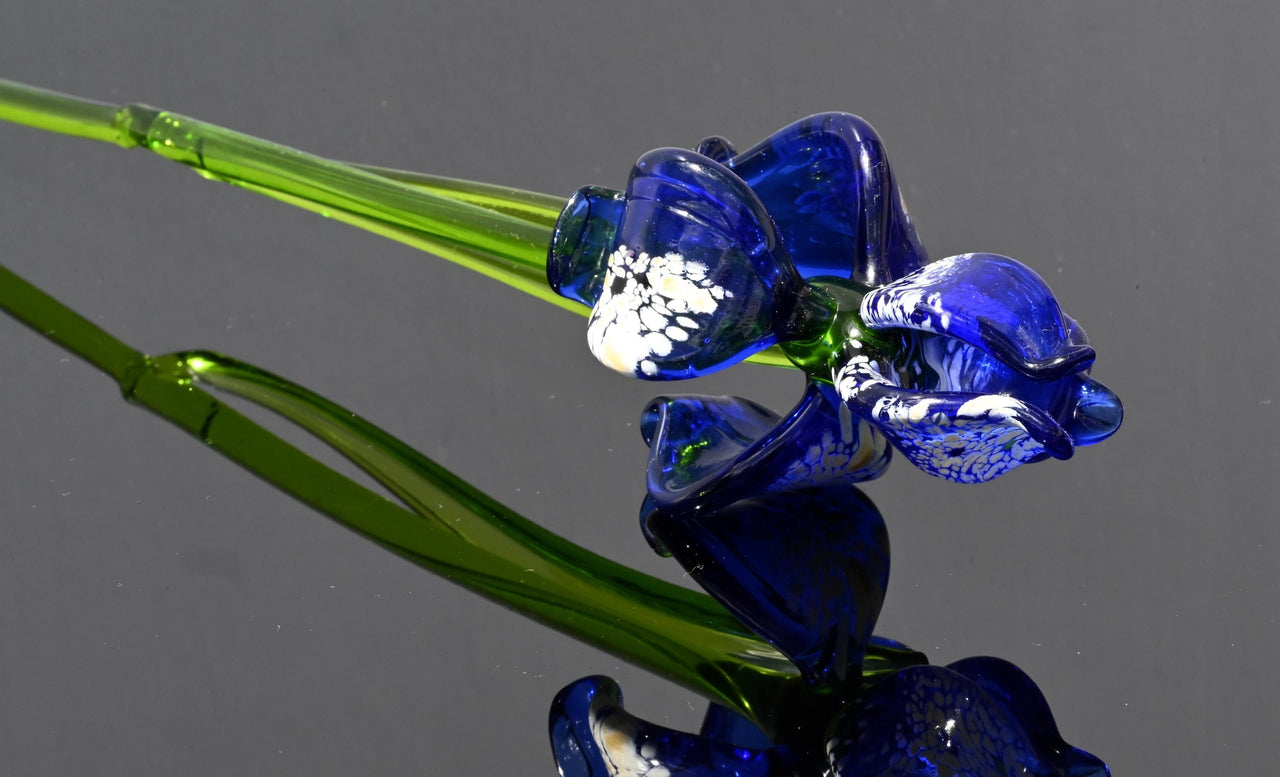 Cobalt blue 15.5" Iris in a hand-blown glass vase, complete decor accent.