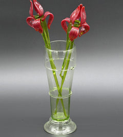 Two Deep red  13" Irises in a hand-blown transparent green glass vase, complete decor accent.