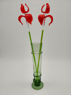 Handblown Red Glass Iris Bouquet: Renaissance vase