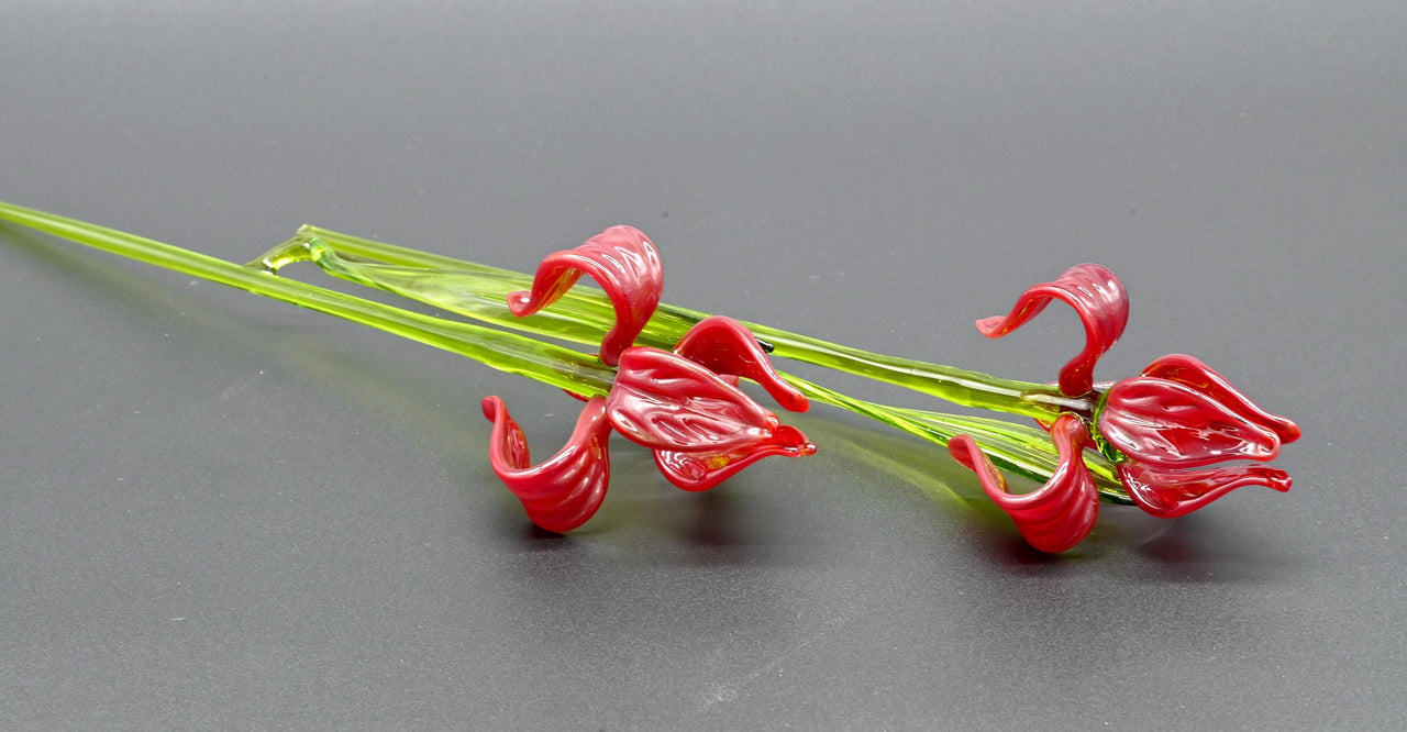 Two Deep red  13" Irises in a hand-blown transparent green glass vase, complete decor accent.