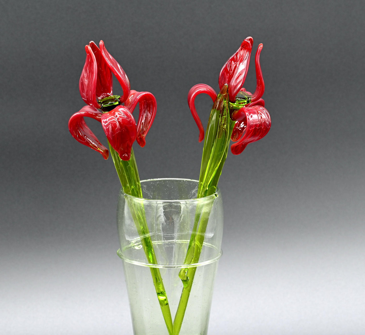 Two Deep red  13" Irises in a hand-blown transparent green glass vase, complete decor accent.
