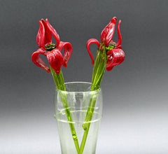 Two Deep red  13" Irises in a hand-blown transparent green glass vase, complete decor accent.