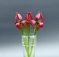 Bouquet of  3 Bright Red Glass Irises – Long Stem Hand Blown Flower – Elegant Gift.