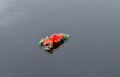 May include: A small glass figurine of a red lobster with green claws. The lobster is posed on its side with its claws outstretched.