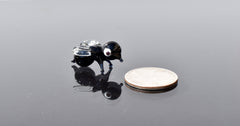 May include: A small black glass fly figurine with clear glass wings and a white eye. The figurine is sitting on a reflective surface next to a silver US quarter.