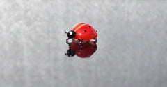 Ladybug Gifts, Glass Animal Figurines, Ladybug Decor, Glass Animals, Tiny Glass Animals, Ladybug Charm, Red Ladybug, Blown Glass, Art
