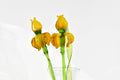 May include: Two yellow glass flowers with green stems and leaves in a clear glass vase.