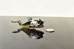 May include: A small glass dolphin figurine with a black and white speckled pattern. The dolphin is positioned on a reflective surface with its reflection visible below. A silver coin is placed to the right of the dolphin for scale.