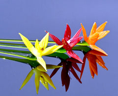 Forever Flowers, Eternal Flowers, Bird of Paradise Long Stem Glass Flowers Bouquet, Orange Birds of Paradise, Glass Birth Month Flower Gift
