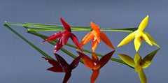 Forever Flowers, Eternal Flowers, Bird of Paradise Long Stem Glass Flowers Bouquet, Orange Birds of Paradise, Glass Birth Month Flower Gift