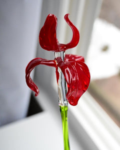 Glass Iris Flowers Bouquet, Red Glass Flowers, Forever Flowers, Glass Birth Month Flower, Hand Blown Glass Iris Gift Art, Mothers Day Gifts