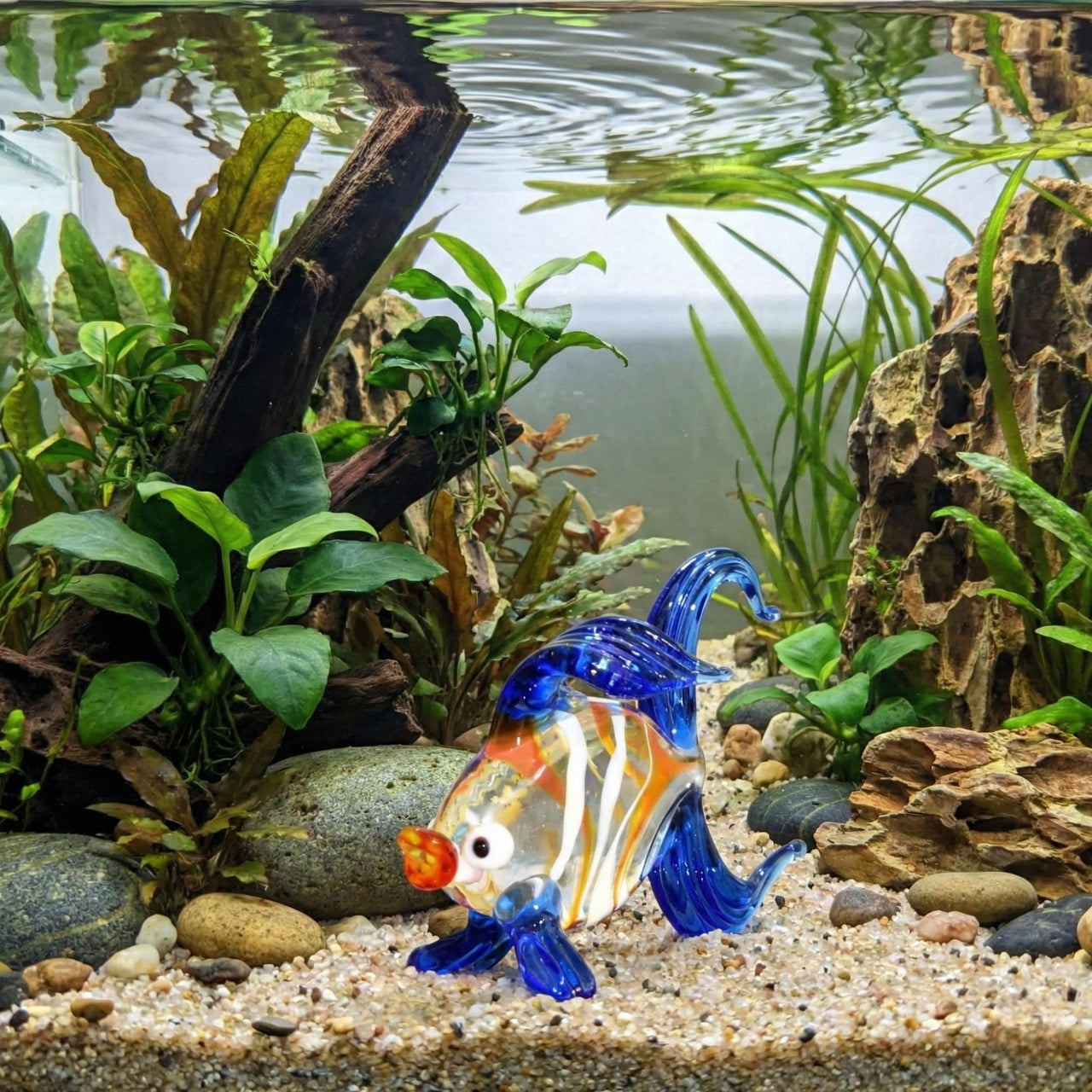 Glass Fish, Tiny Glass Animals, Murano Glass Fish, Fish Sculpture, Mini Glass Animals, Glass Animals, Tropical Fish, Glass Figures, Art