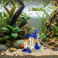 Glass Fish, Tiny Glass Animals, Murano Glass Fish, Fish Sculpture, Mini Glass Animals, Glass Animals, Tropical Fish, Glass Figures, Art