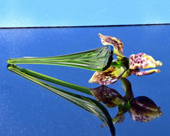 Glass Iris, Glass Birth Month Flower, Iris Art, Mini Glass Flowers Bouquet, Spring Decor, Forever Flowers, Mothers Day Gifts, Birthday Gift