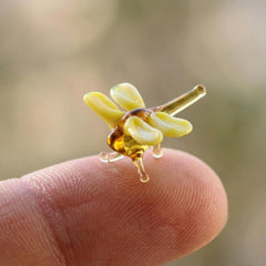 Dragonfly Charm, Dragonfly Gift, Tiny Glass Animals, Yellow Dragonfly, Mini Glass Animals, Dragonfly Art, Glass Figures, Bug, Decor