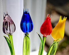 Set of 4 Multi Color Glass Tulips 14"