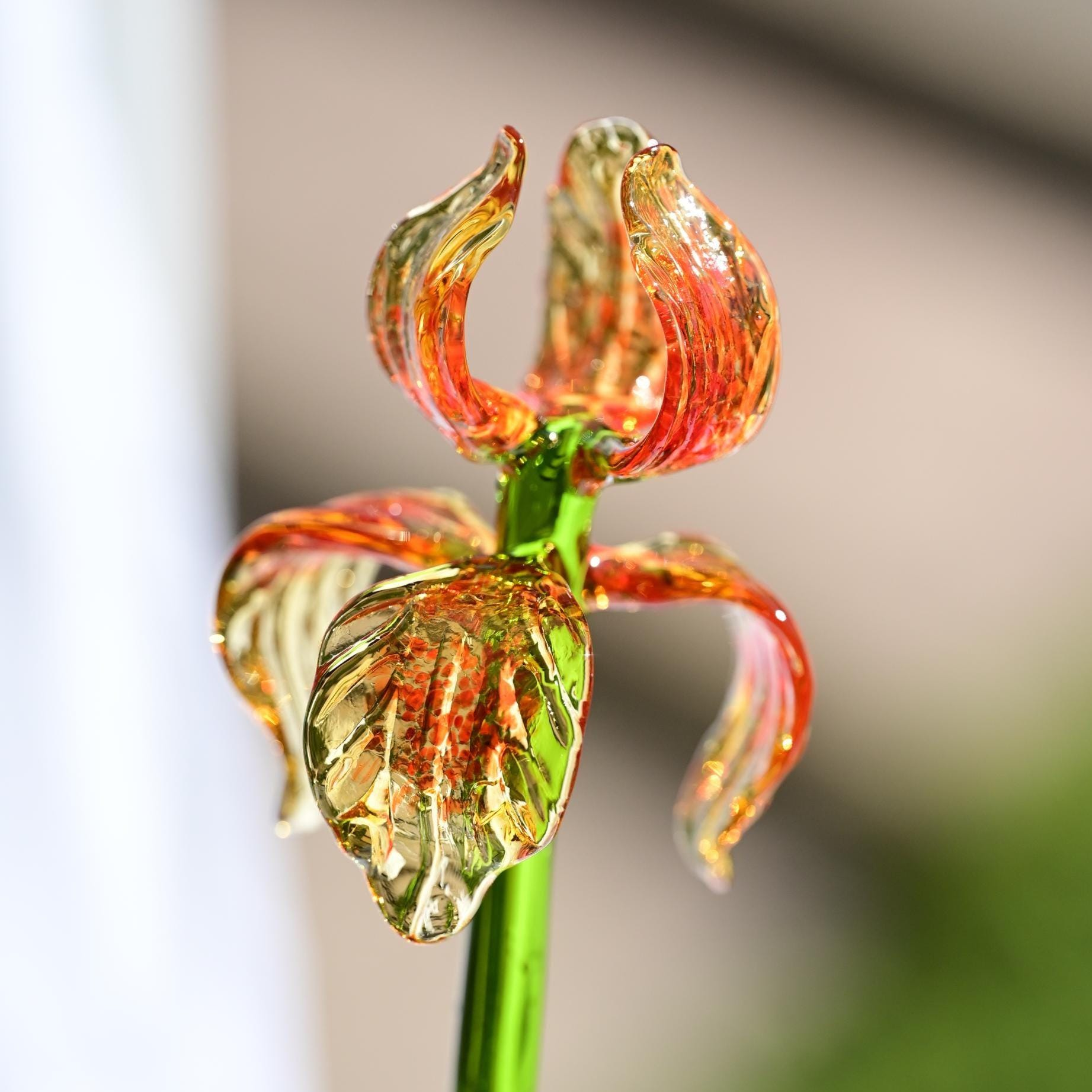Hand Blown Spotted Orange Glass Iris 17"